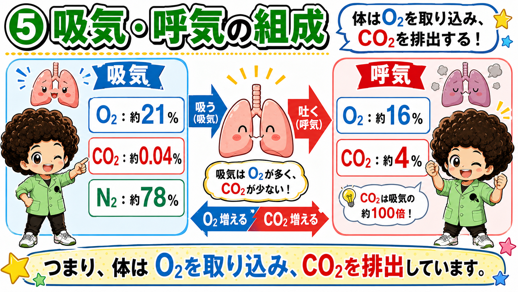 吸気はO2が多くCO2が少ない／呼気はその逆