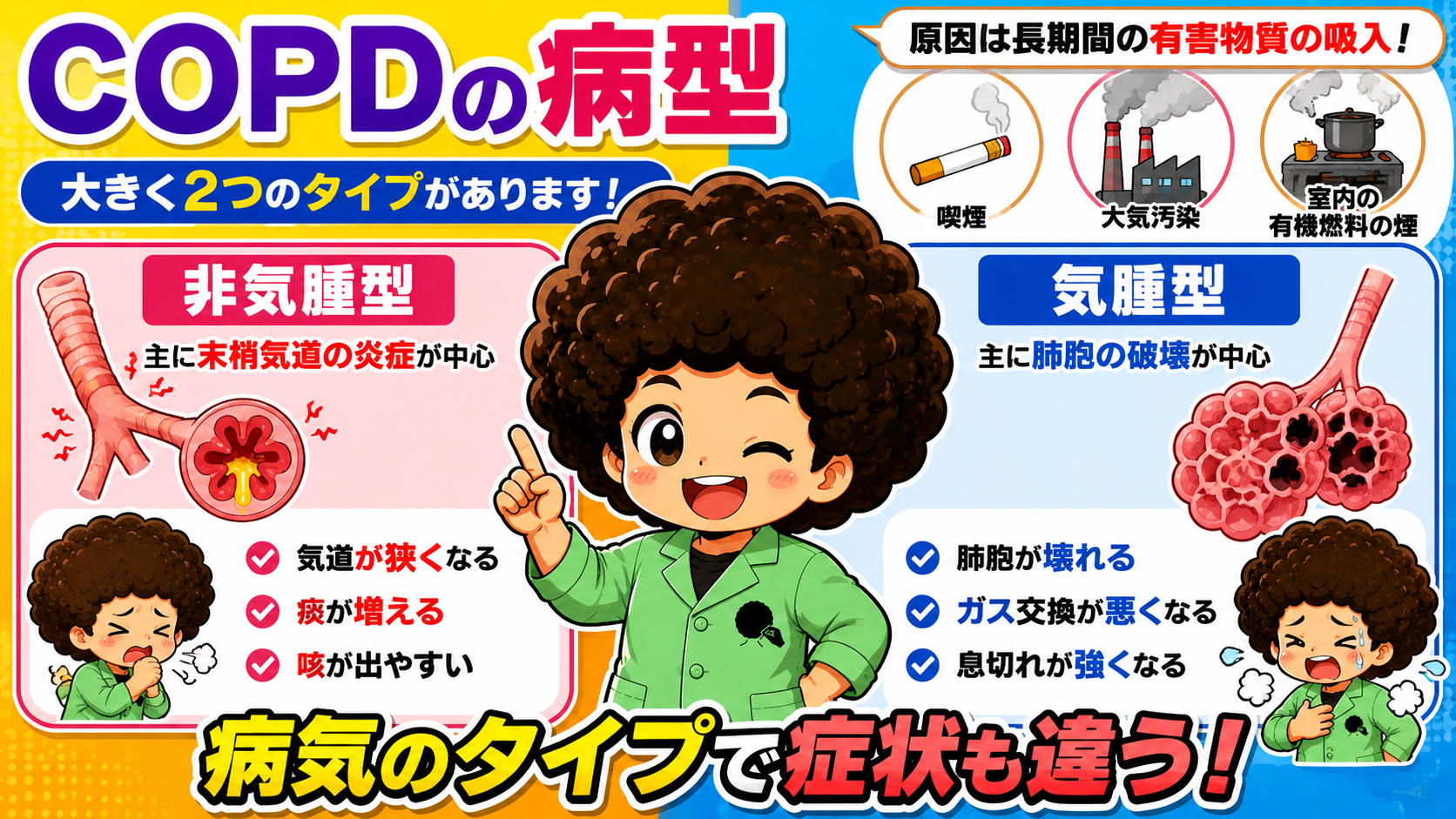 COPDの病型:非気腫型(気道の炎症・狭窄が中心)と気腫型(肺胞の破壊が中心)の違い