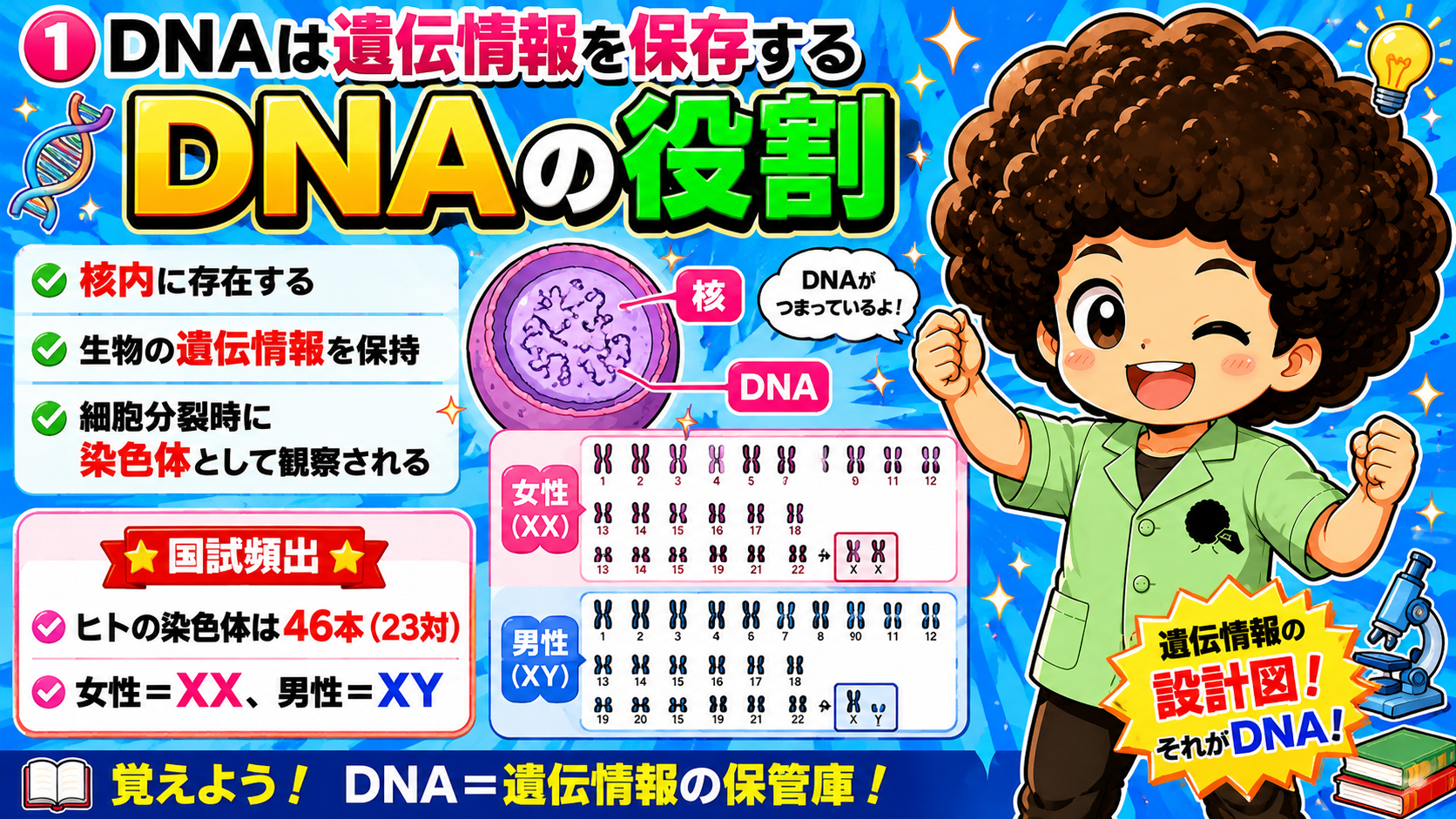 DNA｜DNA 1