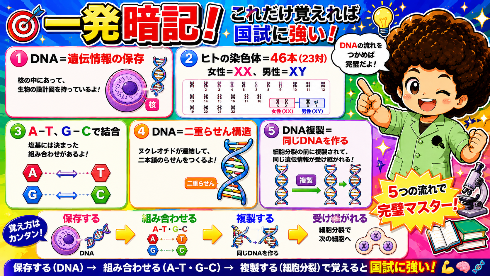 DNAの5大ポイント。保存する→組み合わせる→複製する→受け継がれる