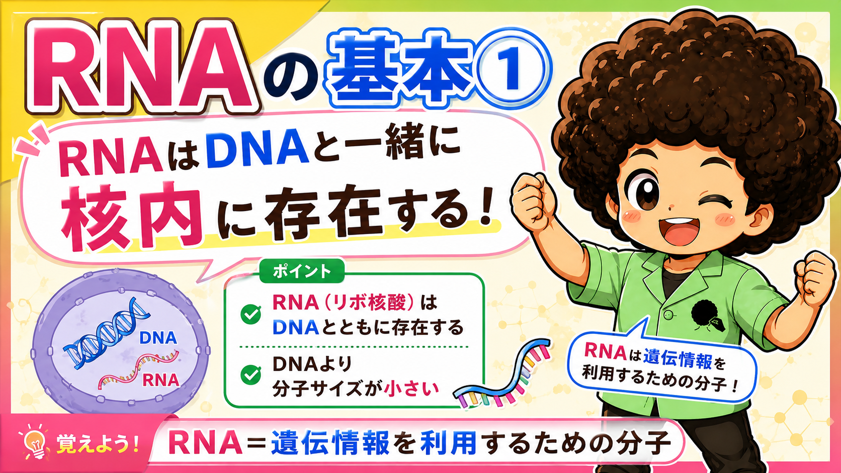 RNA｜RNA 1