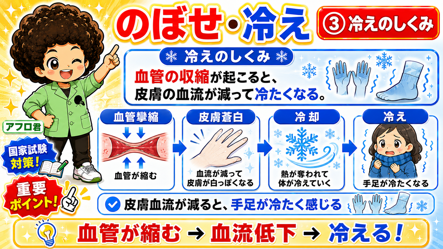 冷えのしくみ：血管攣縮→皮膚蒼白→冷却→冷え