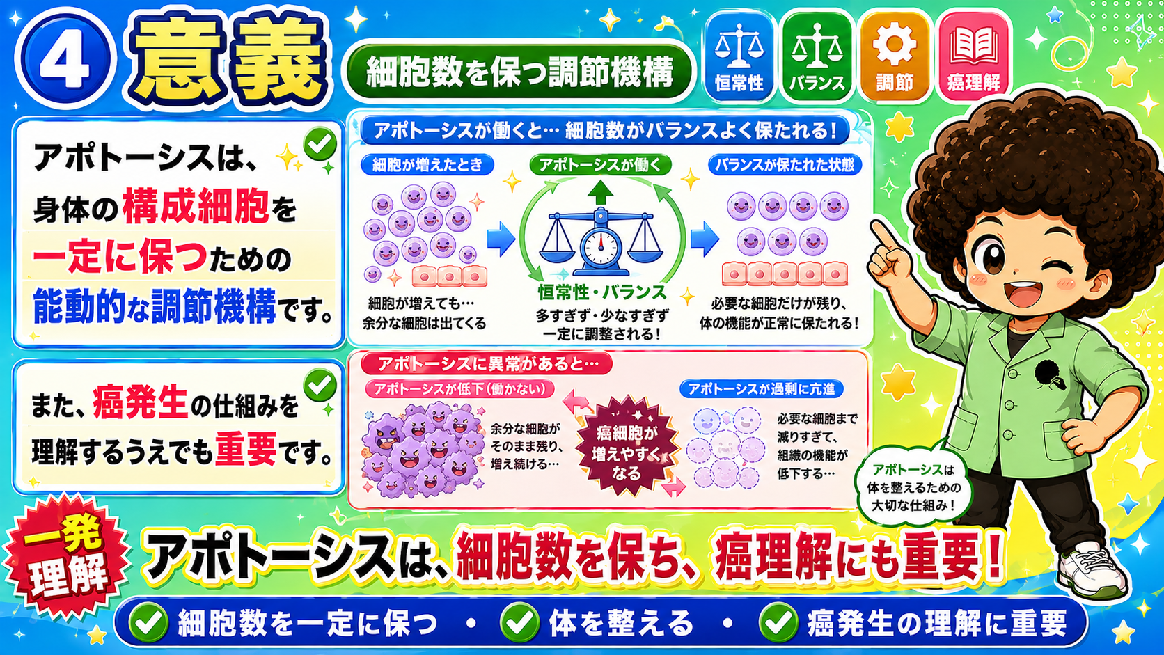 アポトーシス｜アポトーシス 1