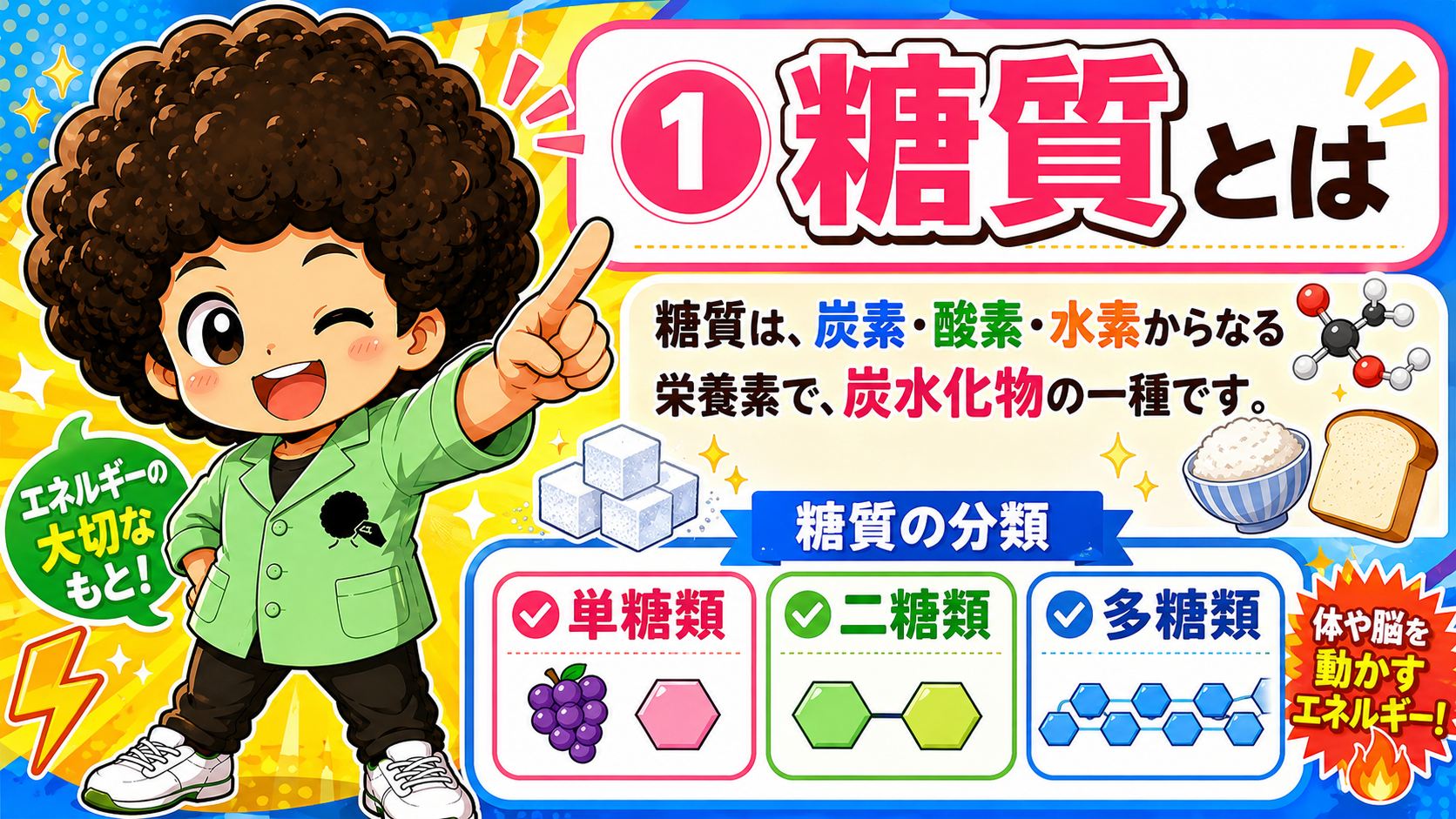 糖質の代謝｜糖質の代謝 1