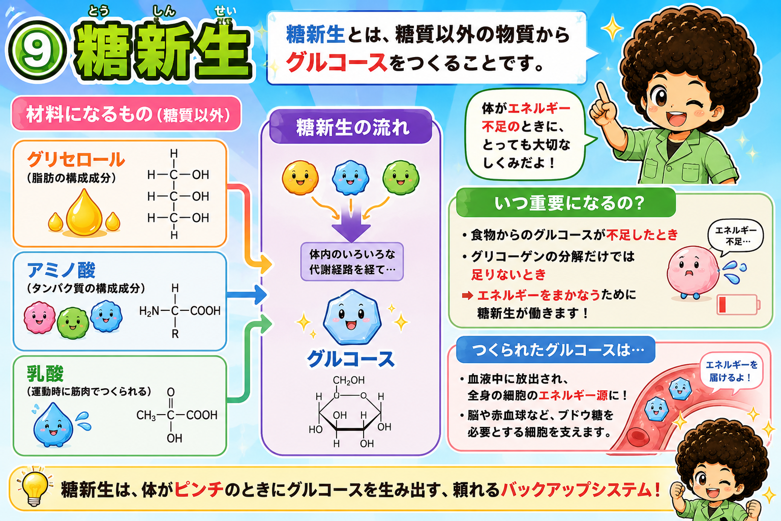 糖新生＝グリセロール・アミノ酸・乳酸からグルコースをつくる