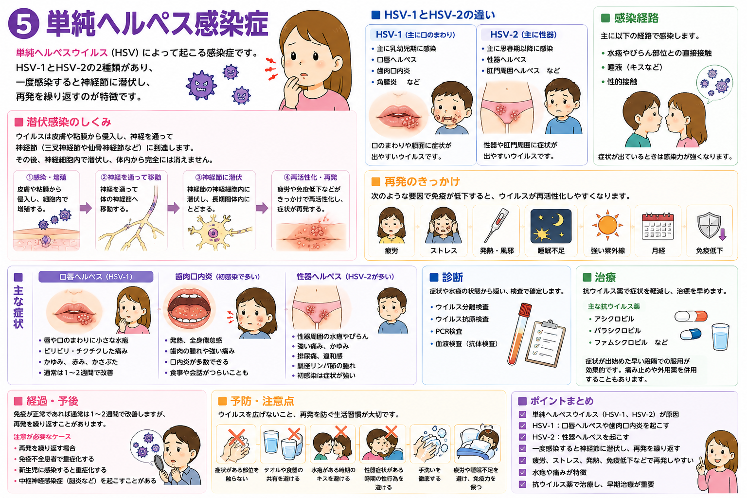 単純ヘルペス感染症：神経節に潜伏し、免疫低下などで再発を繰り返す