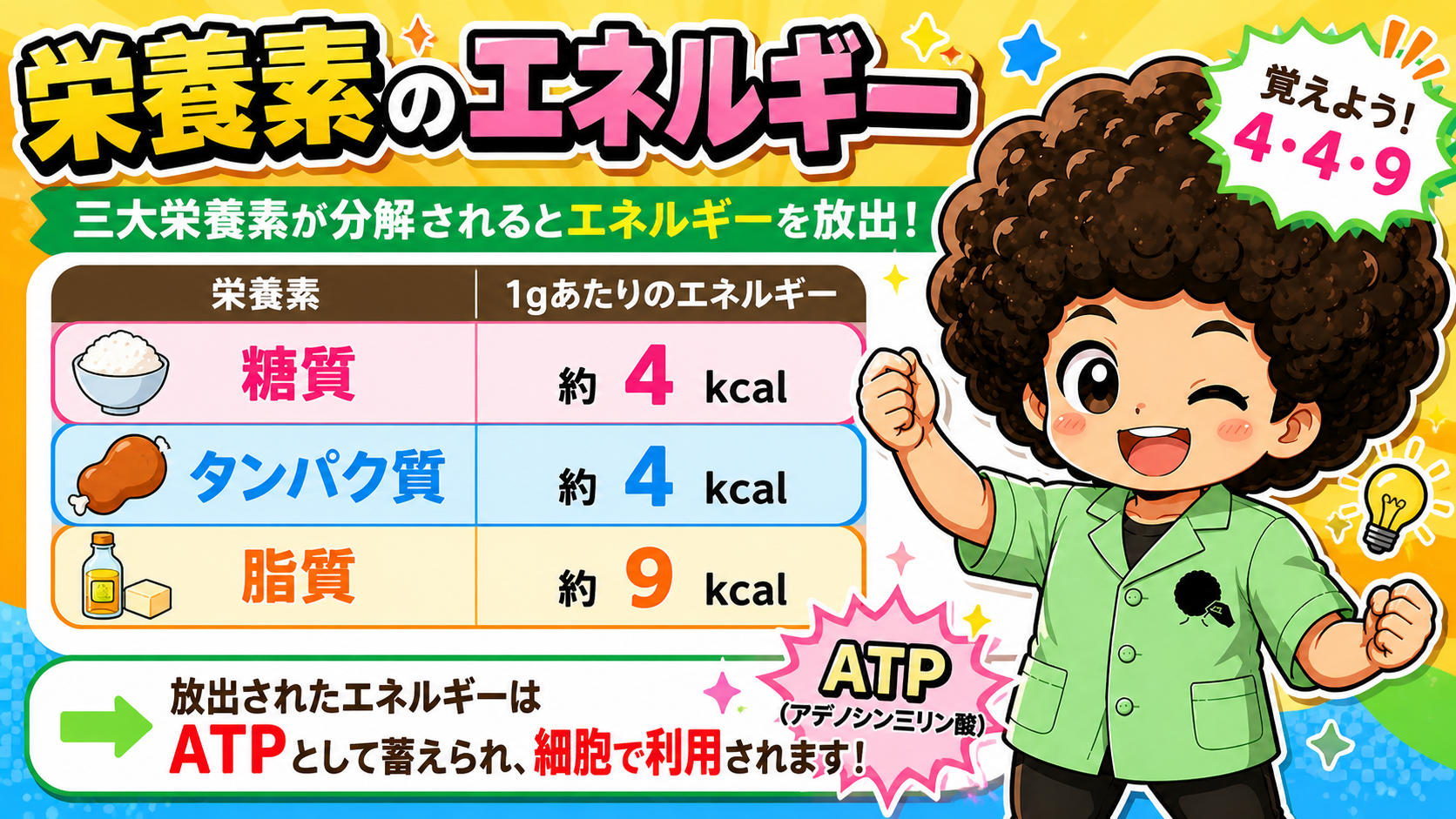 エネルギー代謝｜エネルギー代謝 1