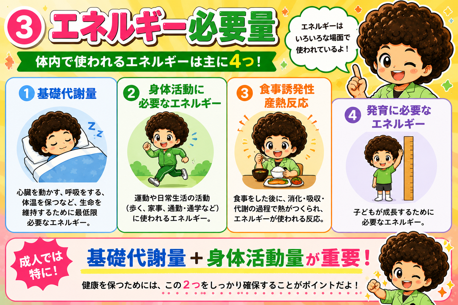 体内で使われるエネルギーの4区分