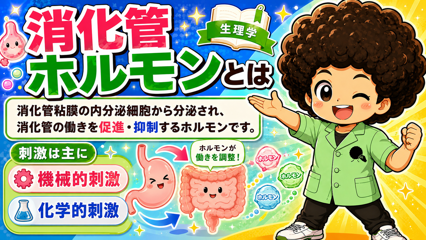消化管ホルモンは消化管粘膜の内分泌細胞から分泌され、働きを促進・抑制する
