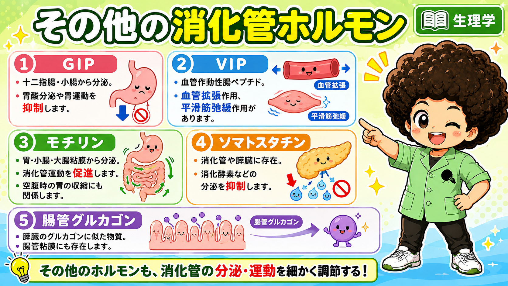 GIP・VIP・モチリン・ソマトスタチン・腸管グルカゴンの整理