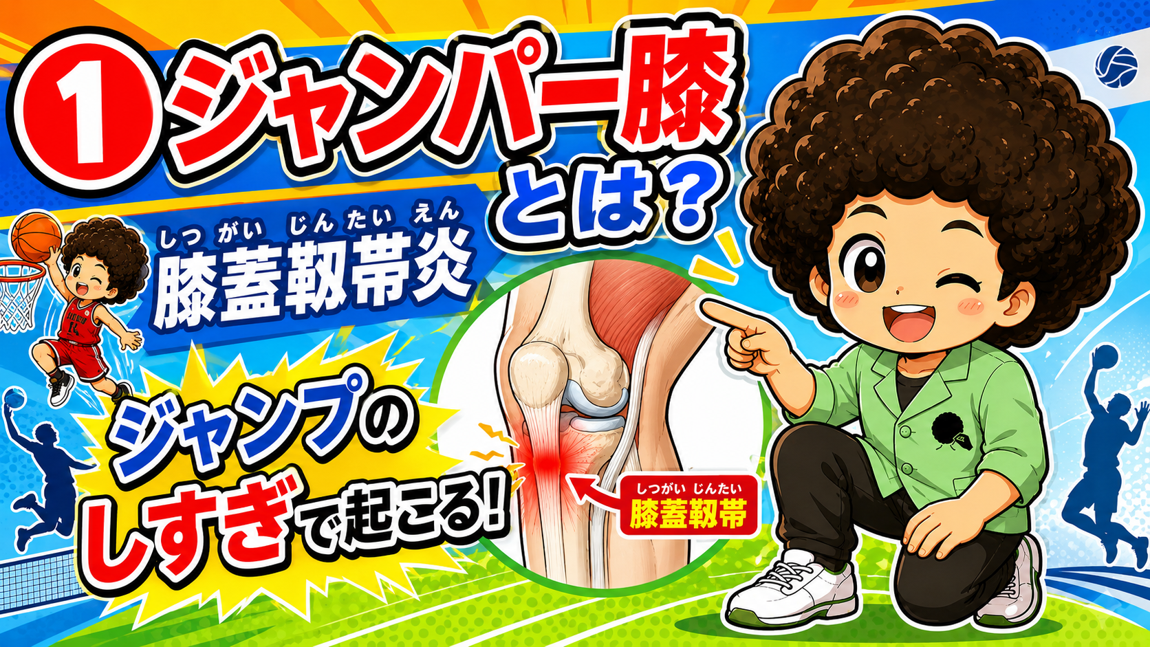 ジャンパー膝（膝蓋靱帯炎）｜ジャンパー膝（膝蓋靱帯炎） 1