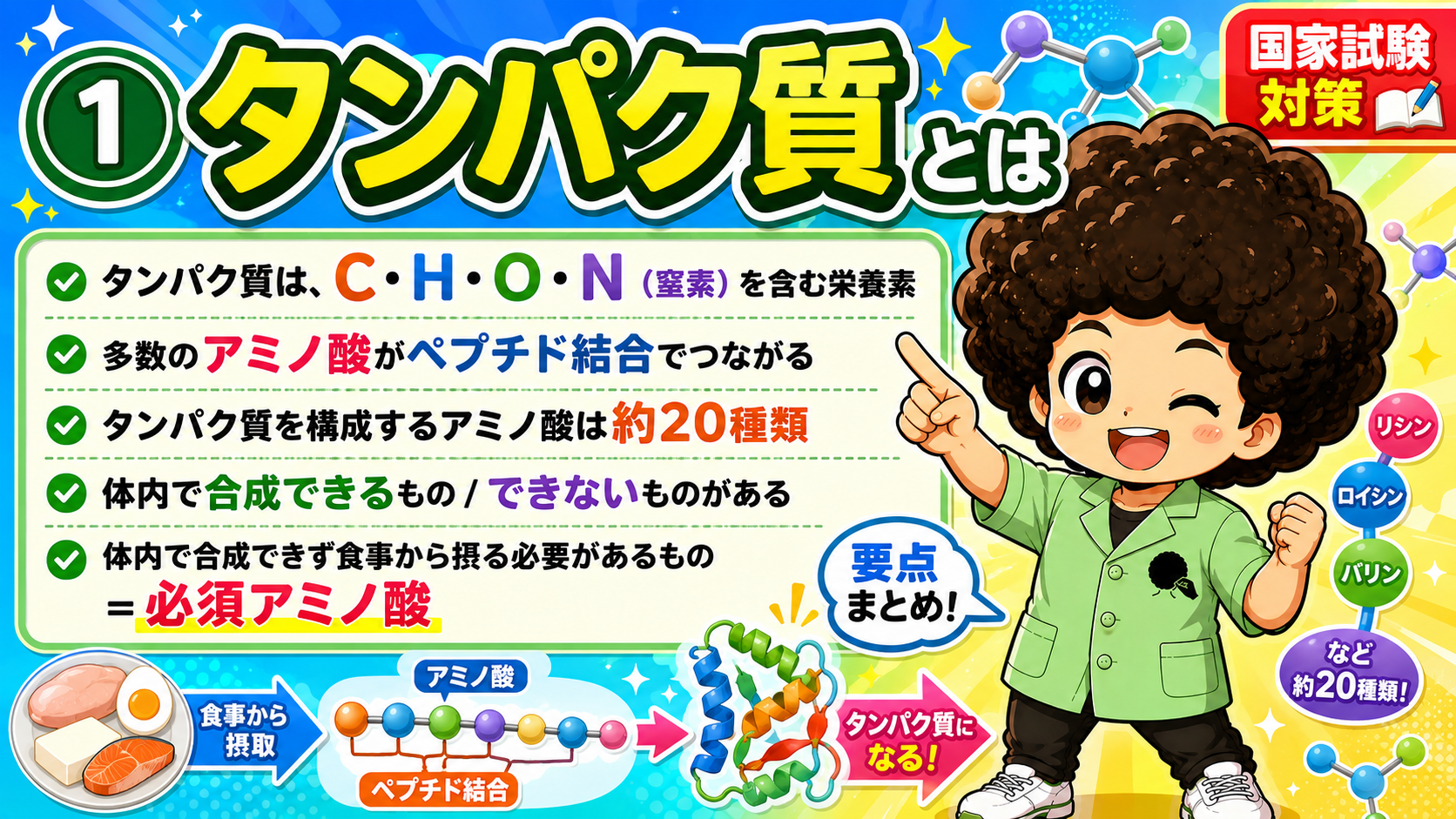 タンパク質はC・H・O・Nを含み、約20種類のアミノ酸がペプチド結合でつながってできる