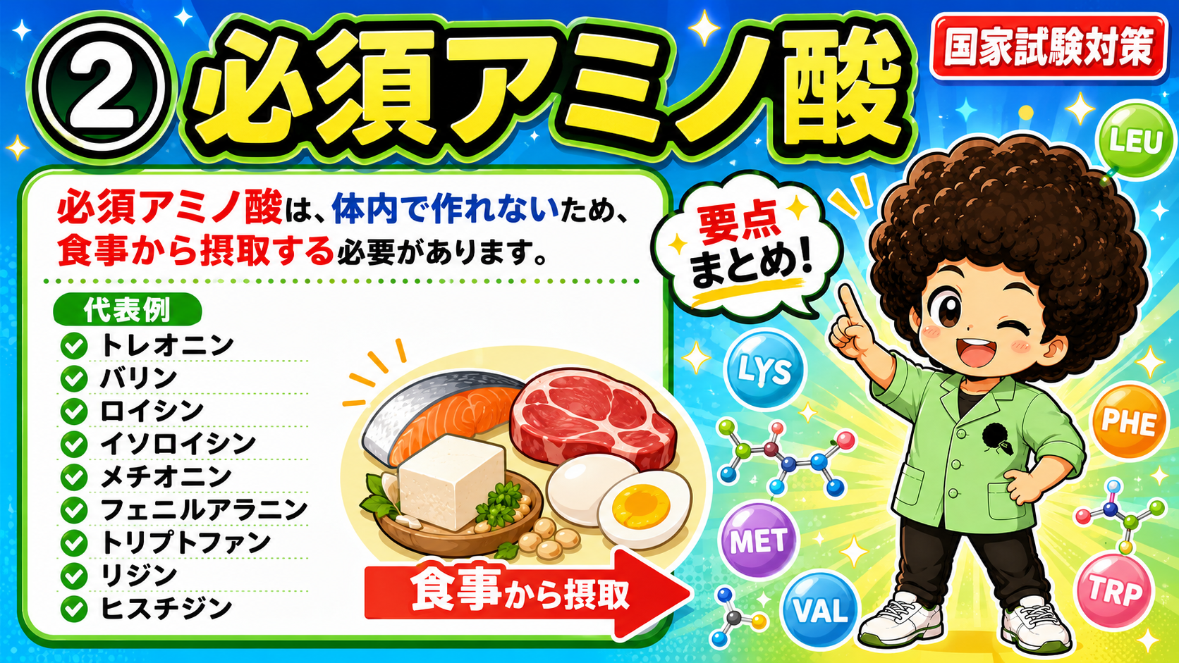 必須アミノ酸9種。体内で作れないため食事から摂取する