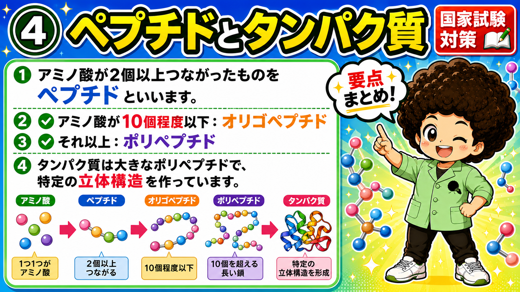 アミノ酸→ペプチド→オリゴペプチド→ポリペプチド→タンパク質