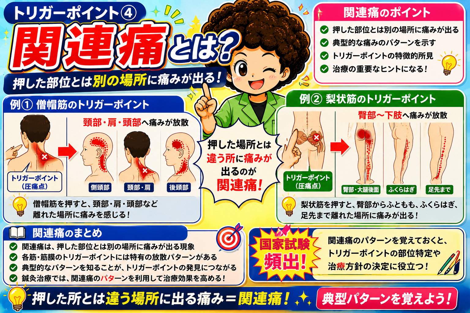 僧帽筋・梨状筋の関連痛パターン。国家試験頻出