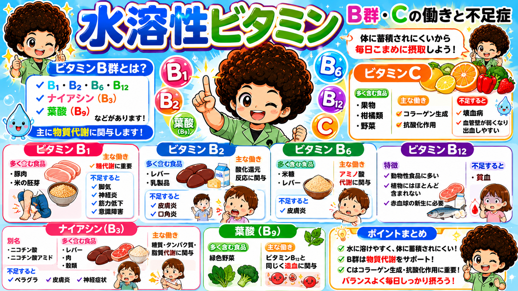 水溶性ビタミンB群・Cの働きと不足症