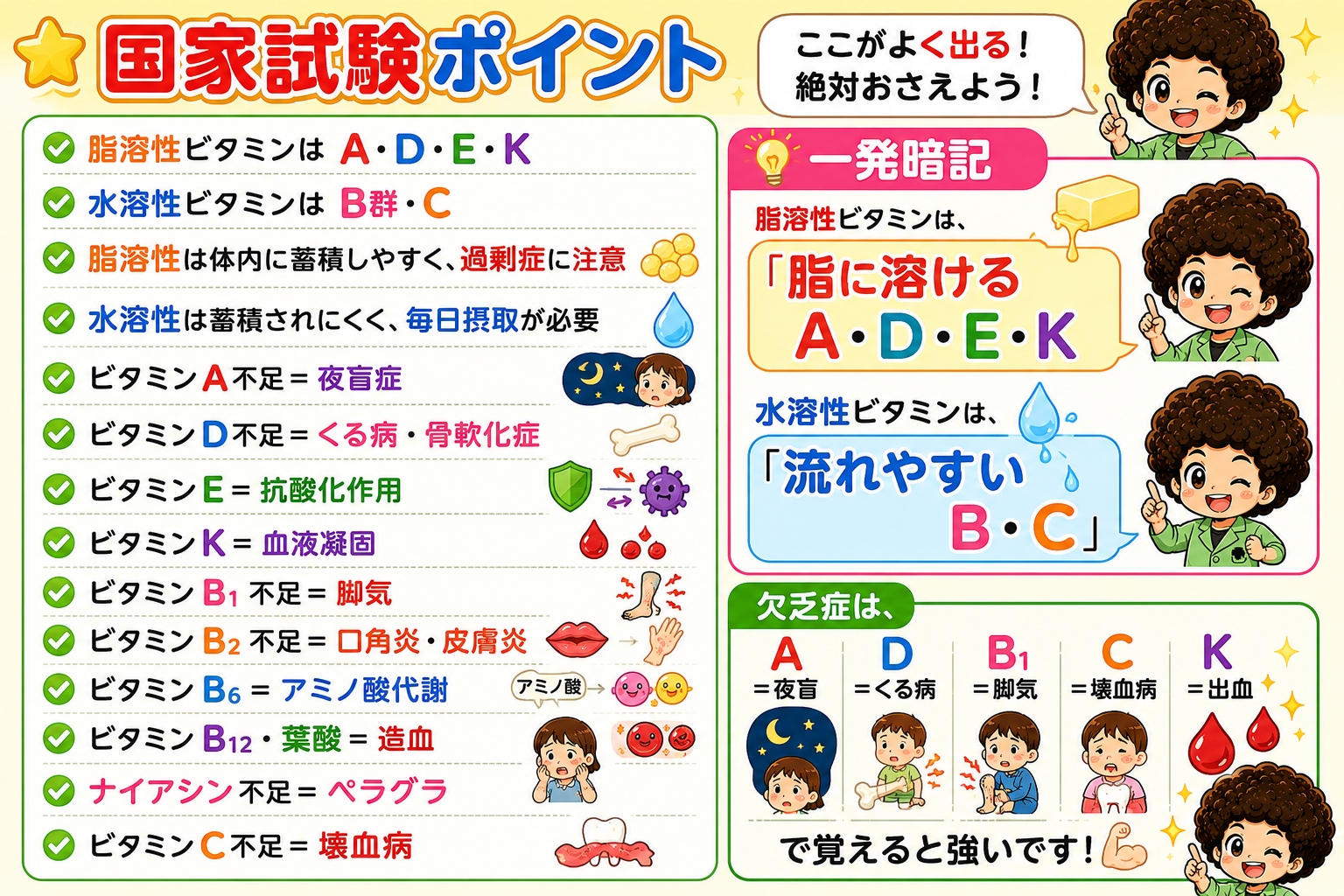 国家試験ポイント：分類と欠乏症の一発暗記