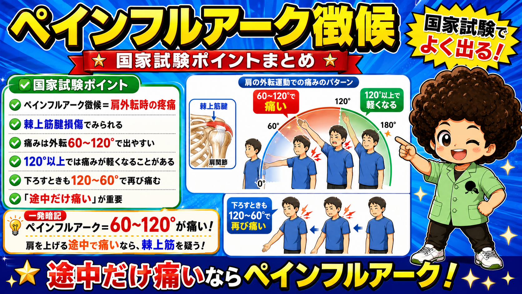 国家試験ポイントまとめ：60〜120°で痛い、120°以上で軽くなる、下降時も再び痛む
