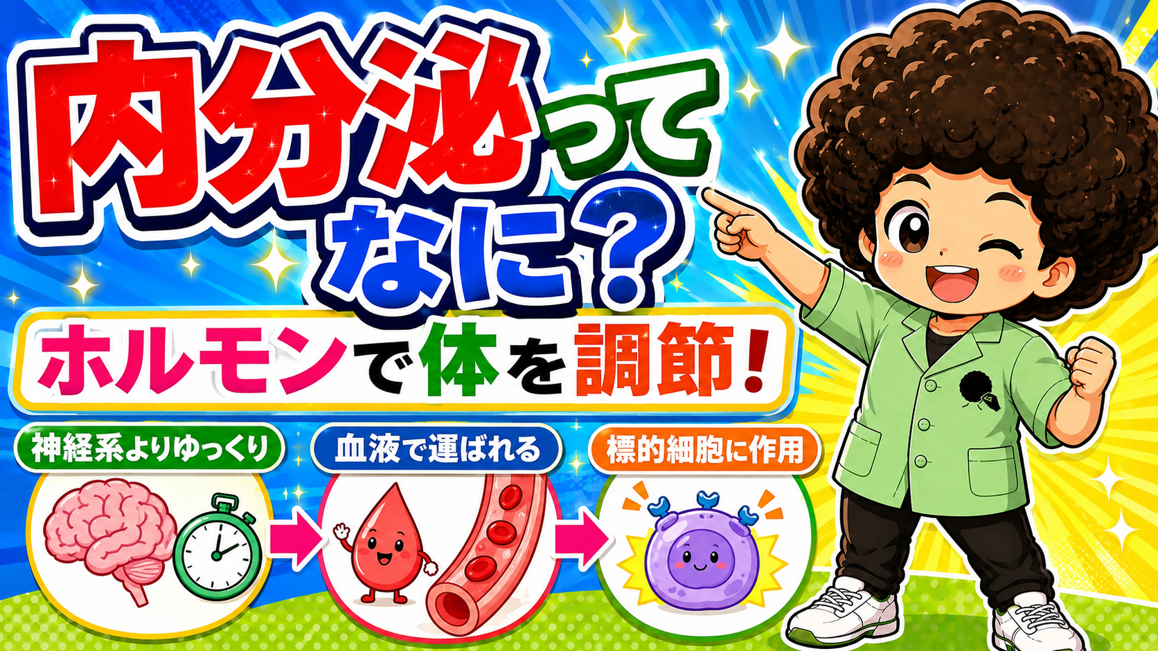 ホルモン｜ホルモン 1