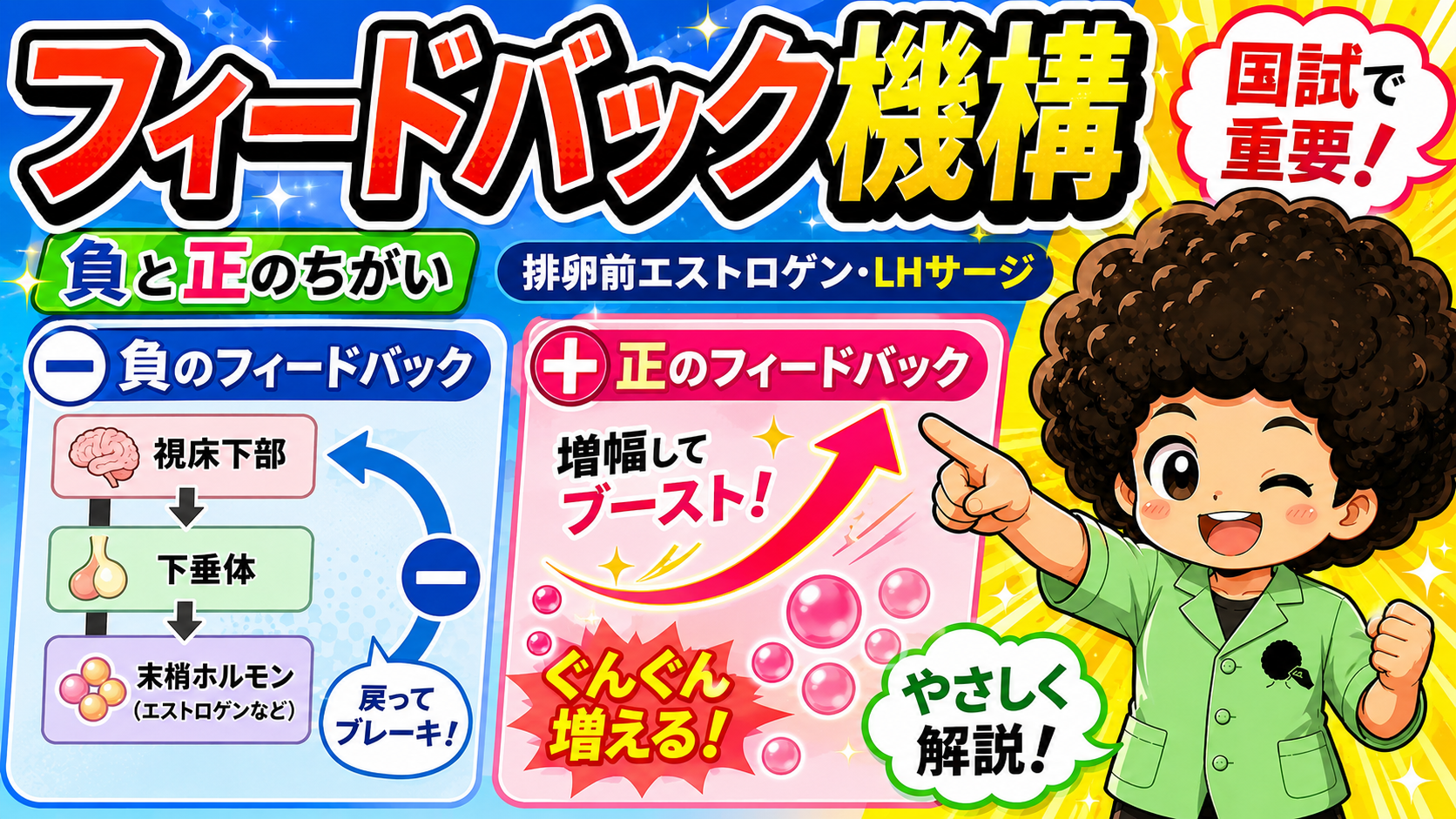 フィードバック機構：負のフィードバックと正のフィードバック