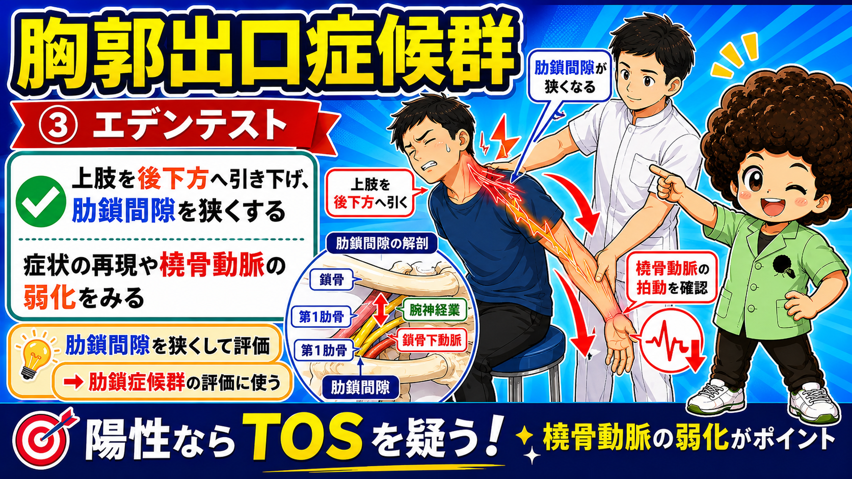エデンテスト：上肢を後下方へ引き、肋鎖間隙を狭めて症状と橈骨動脈の弱化をみる