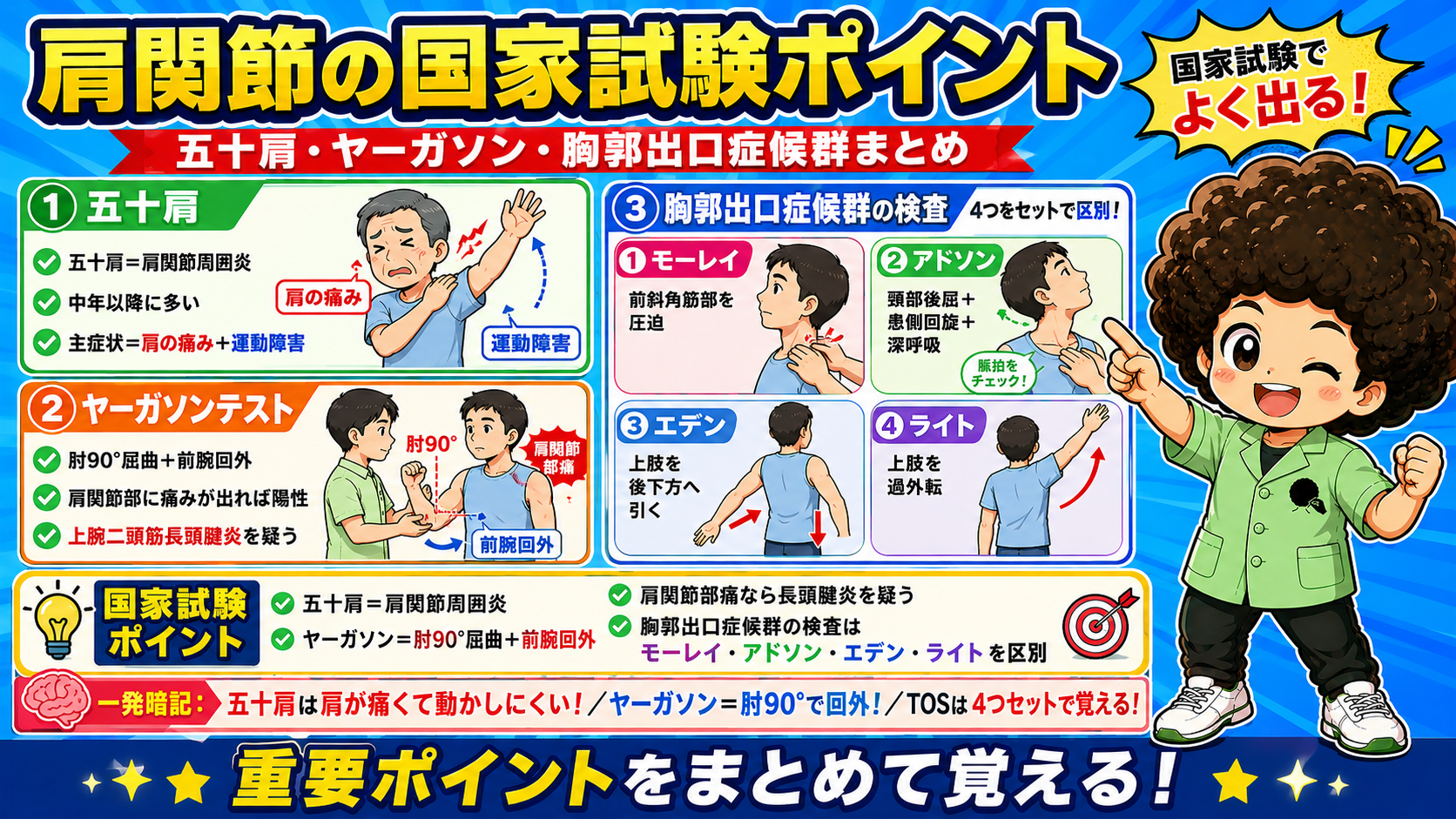 肩関節の国試ポイントまとめ（ヤーガソンテストの要点を含む）