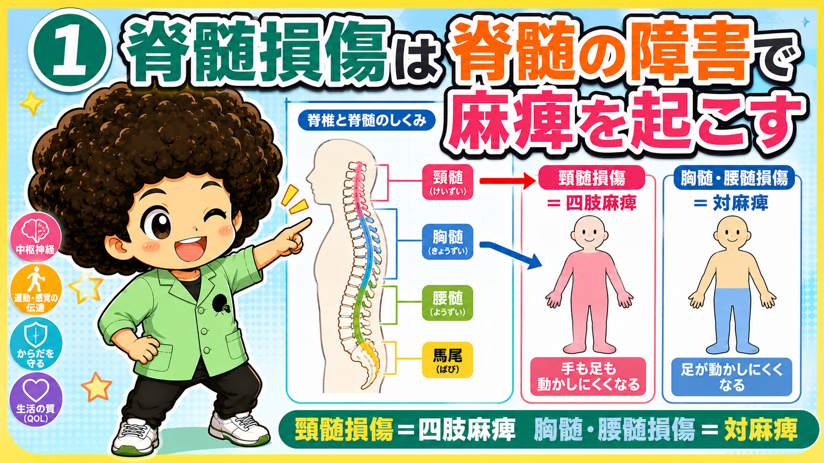 脊髄損傷と麻痺｜脊髄損傷と麻痺 1
