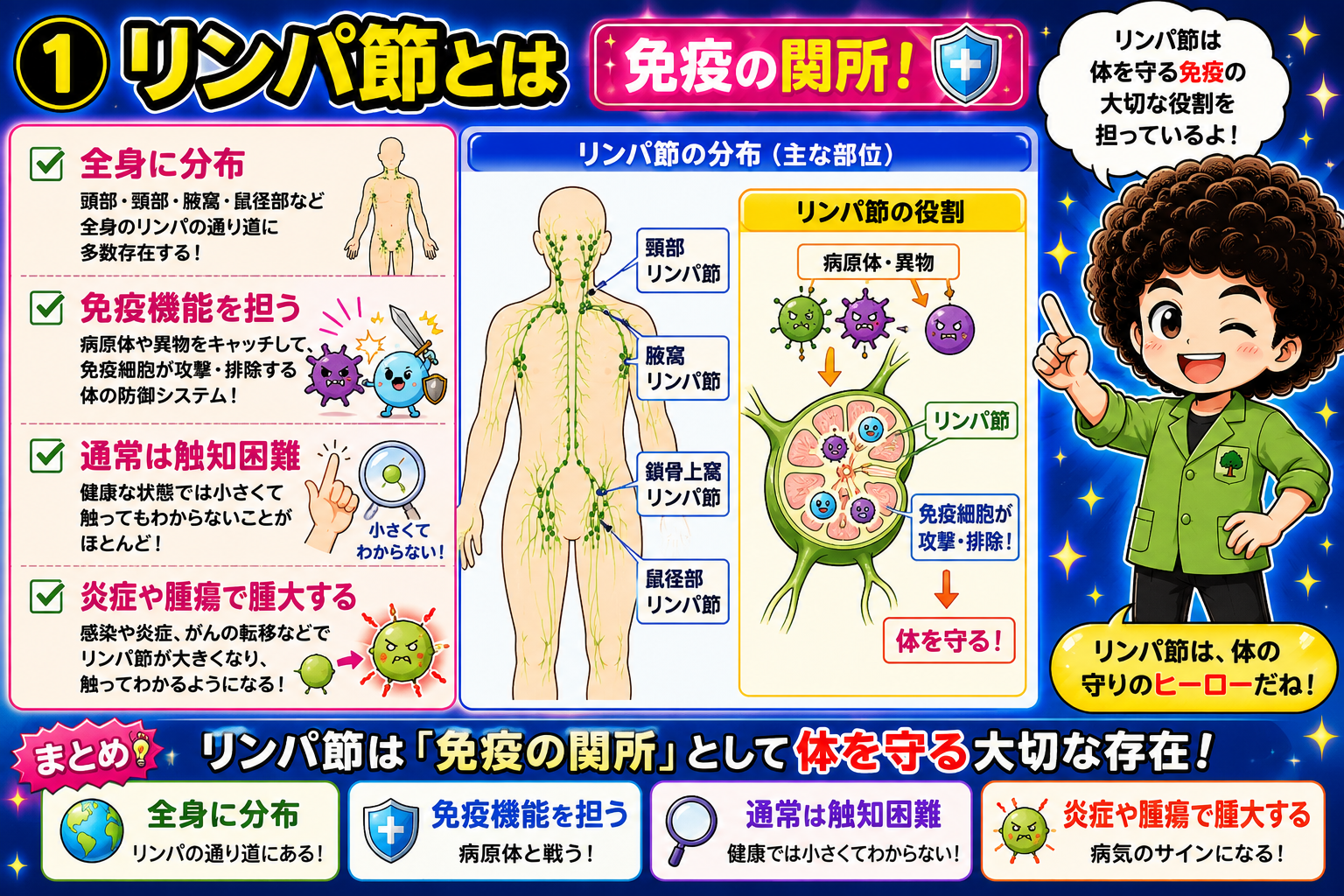 リンパ節は「免疫の関所」。全身に分布し、通常は触知困難