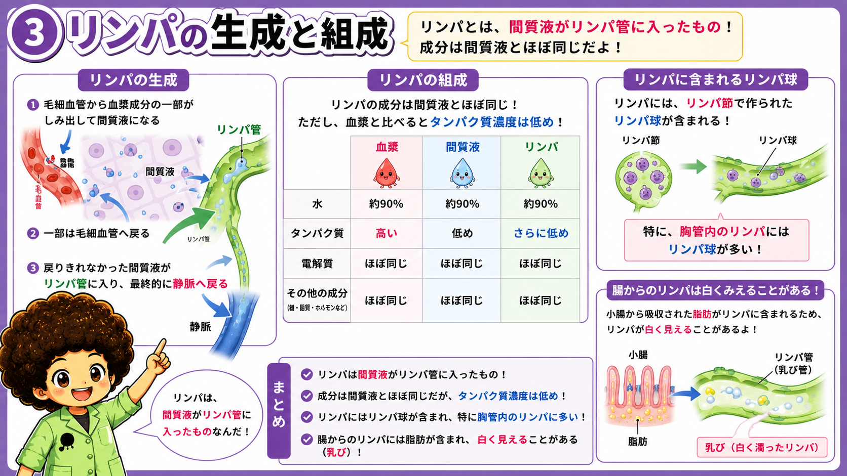 リンパの生成と組成（血漿・間質液・リンパの比較）