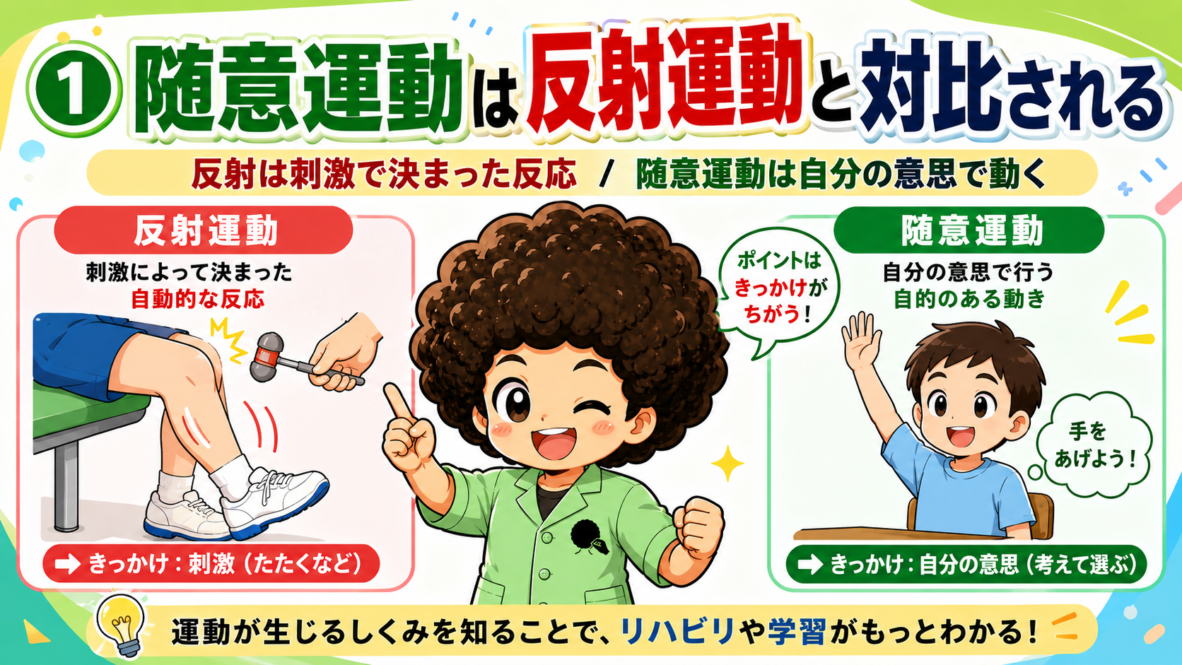 随意運動は反射運動と対比される（きっかけの違い）