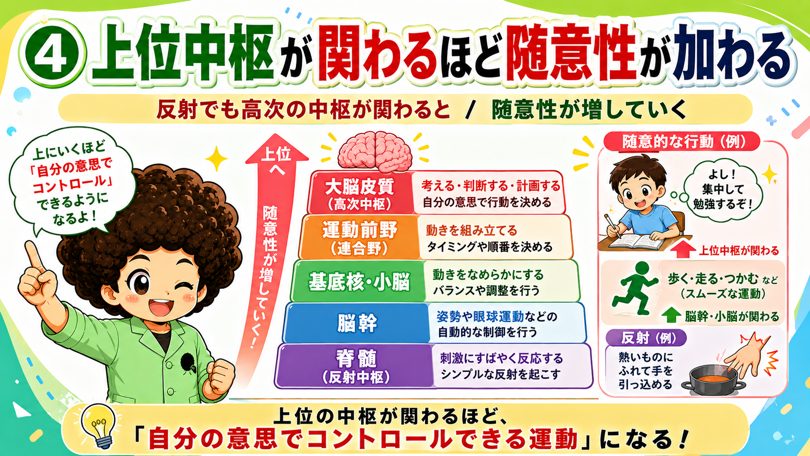 随意運動と不随意運動｜随意運動と不随意運動 1