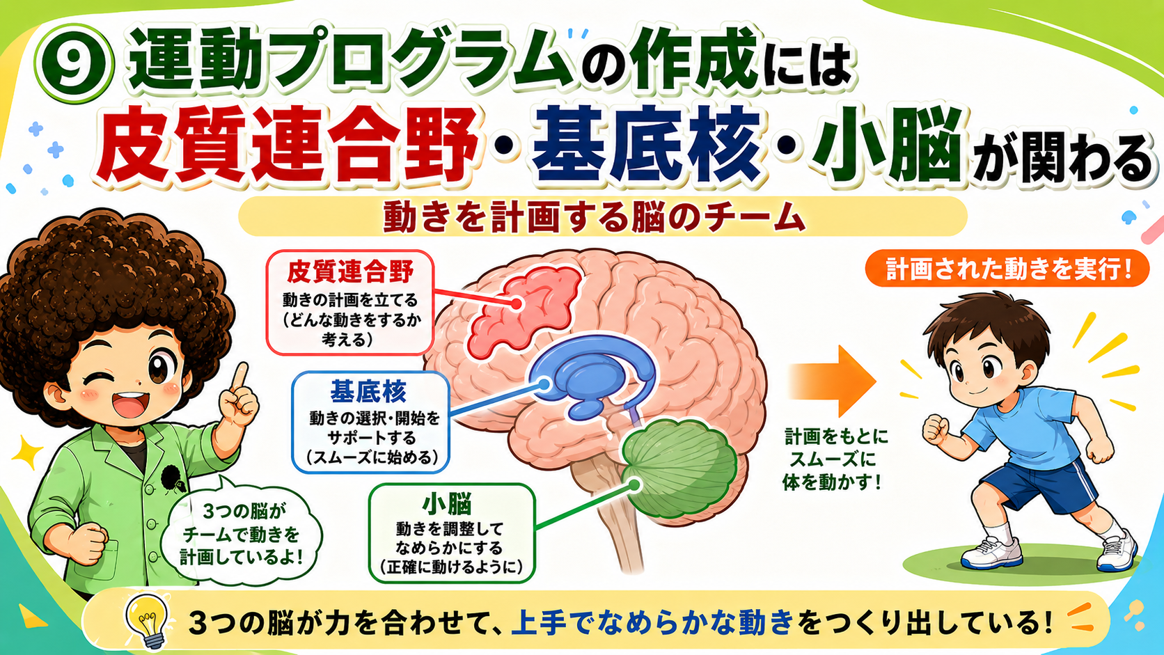 運動プログラムの作成には皮質連合野・基底核・小脳が関わる