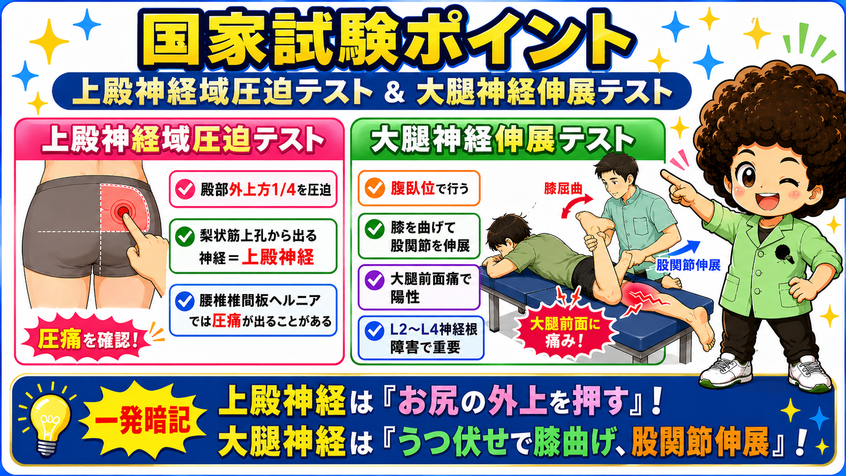 上殿神経域圧迫テストと大腿神経伸展テストの国試ポイント対比