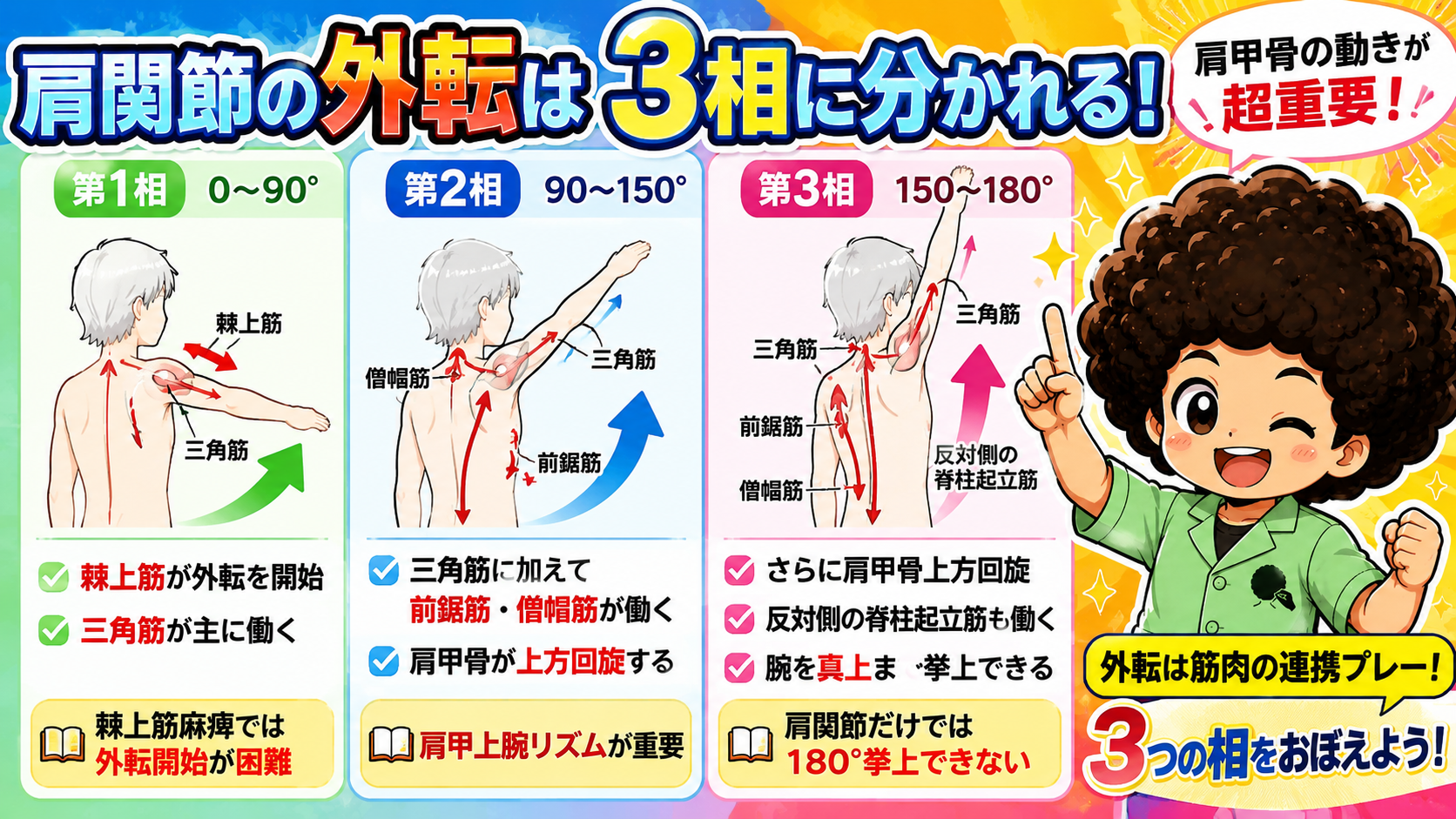 上肢の運動｜上肢の運動 1
