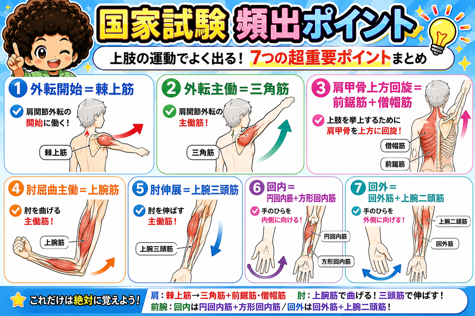 上肢の運動 国家試験頻出ポイント7つのまとめ