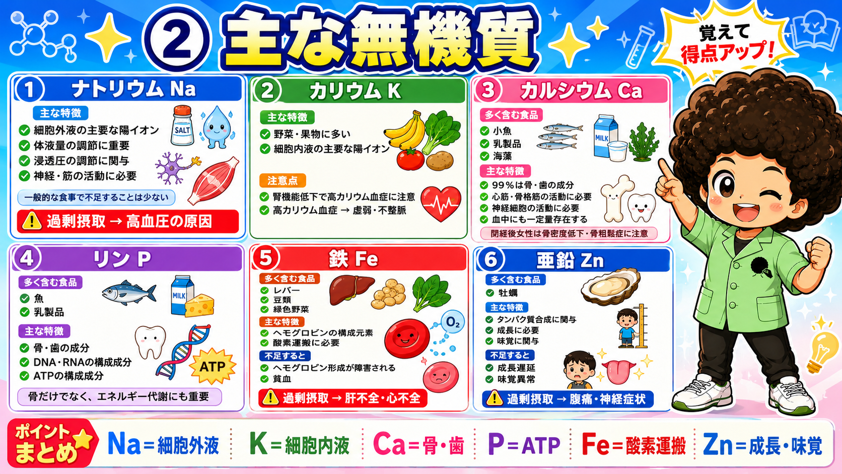 Na＝細胞外液、K＝細胞内液、Ca＝骨・歯、P＝ATP、Fe＝酸素運搬、Zn＝成長・味覚。