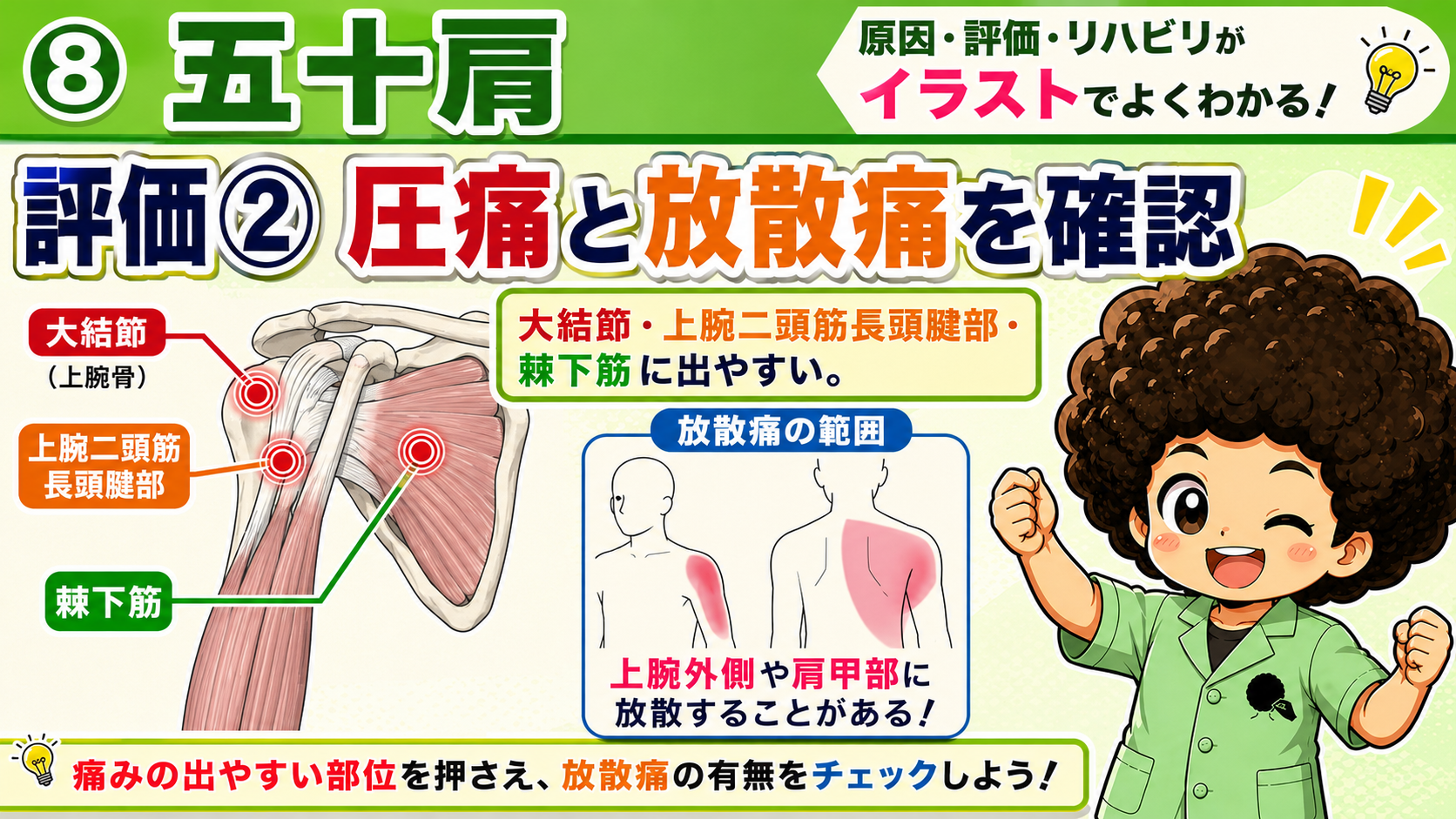 圧痛は大結節・上腕二頭筋長頭腱部・棘下筋に出やすい