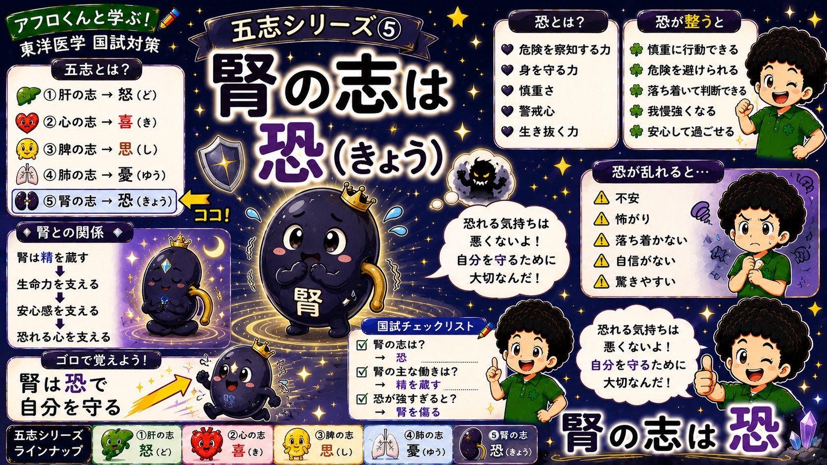 腎の志は恐。腎は精を蔵し、恐れる心を支える