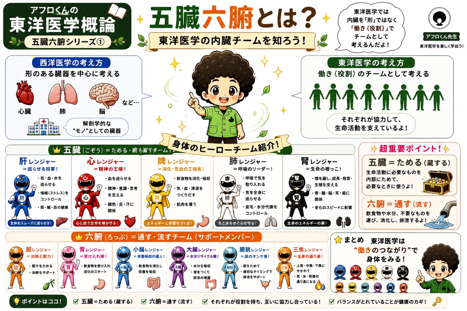 五臓六腑｜五臓六腑 1