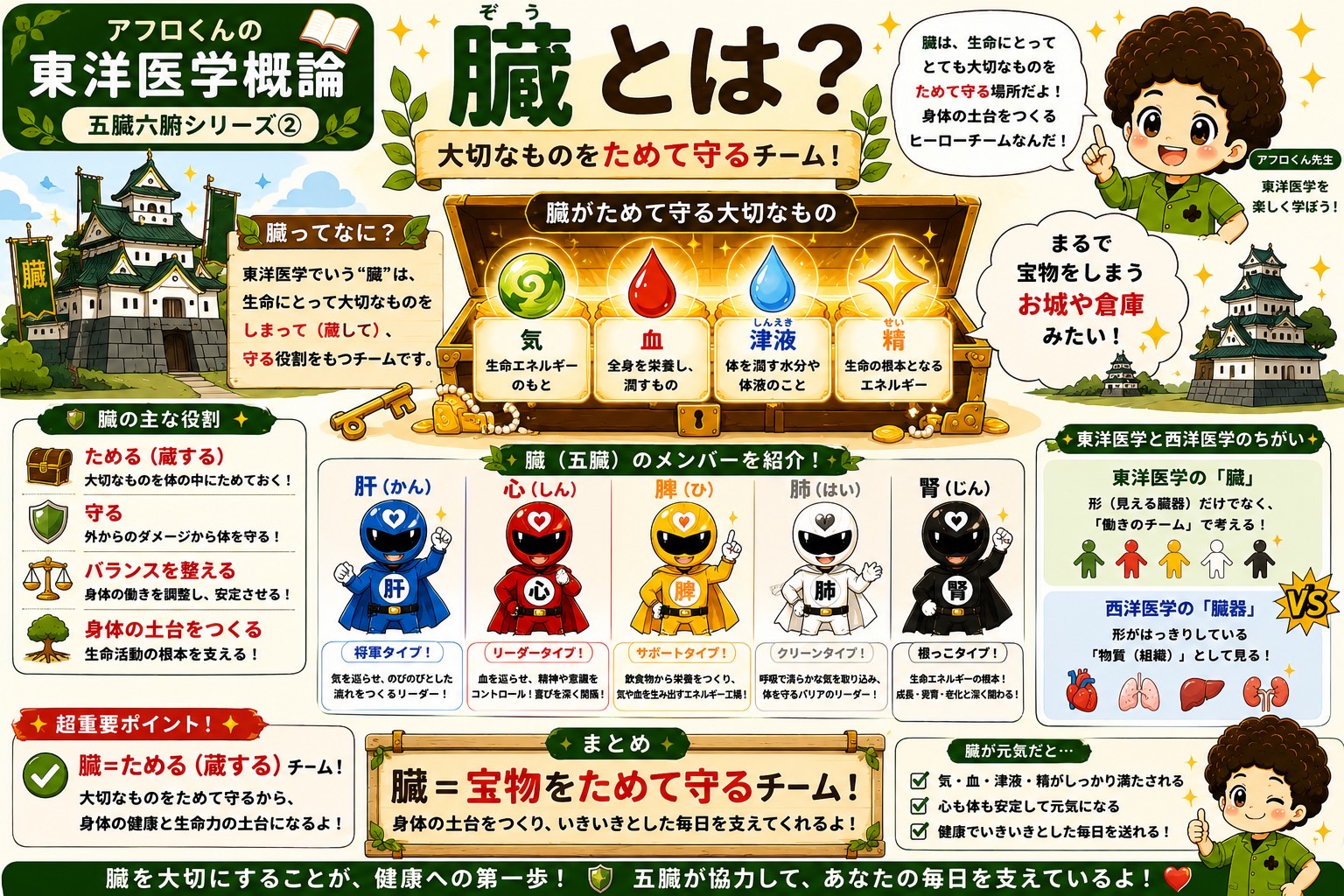 臓＝宝物（気・血・津液・精）をためて守るチーム。身体の土台をつくる