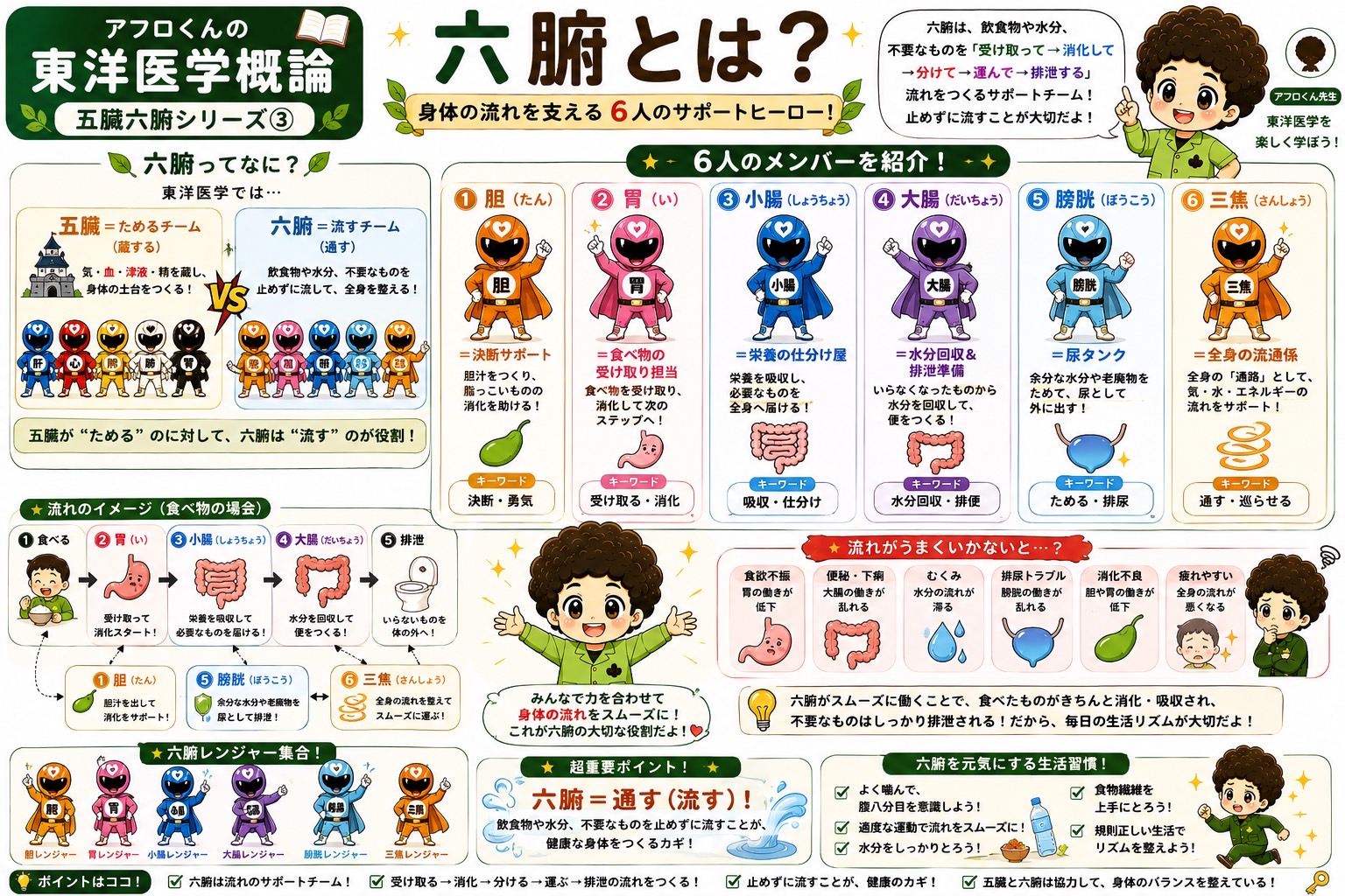五臓（肝・心・脾・肺・腎）それぞれの主な働き。5つのバランスが健康のカギ