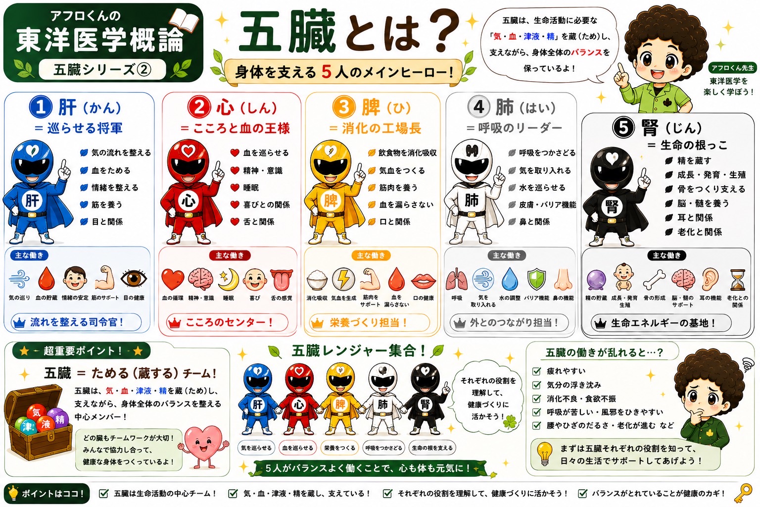 六腑は「受け取る→消化→分ける→運ぶ→排泄」の流れをつくるサポートチーム