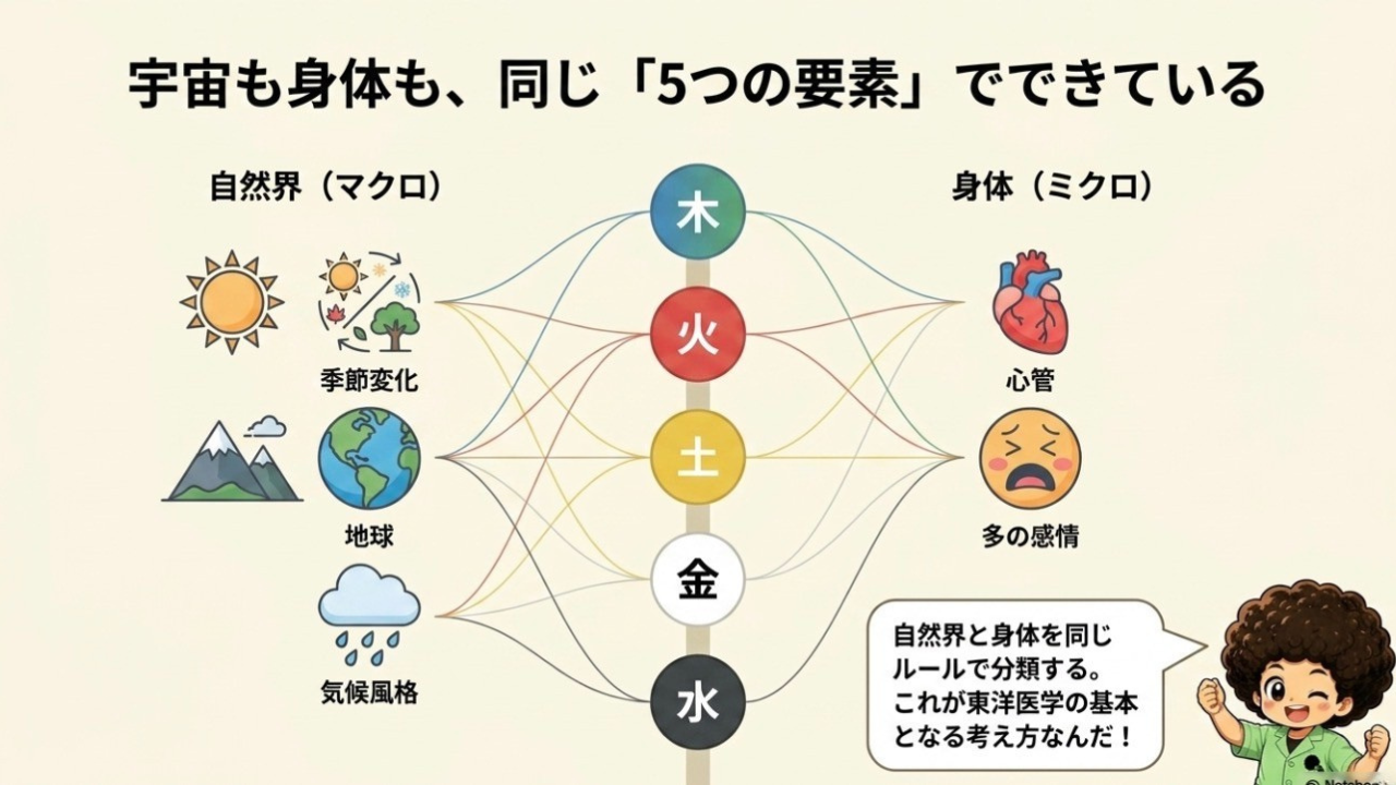 自然界（マクロ）と身体（ミクロ）を同じ5要素で分類する
