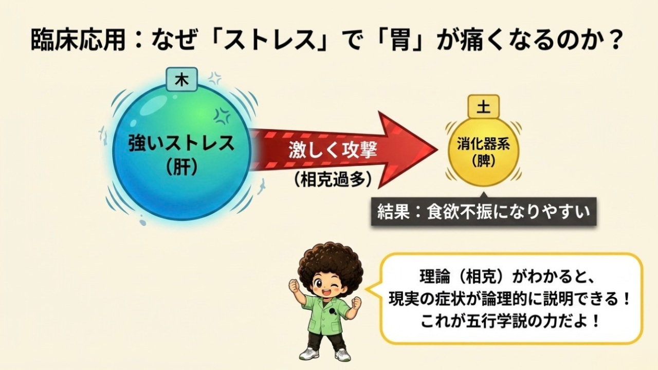 強いストレス（肝＝木）が相克過多で脾（土）を攻撃→食欲不振