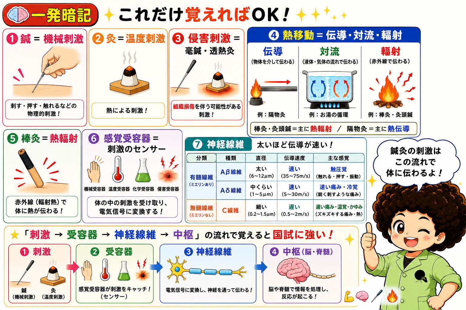 一発暗記まとめ：鍼灸刺激が体に伝わる流れ