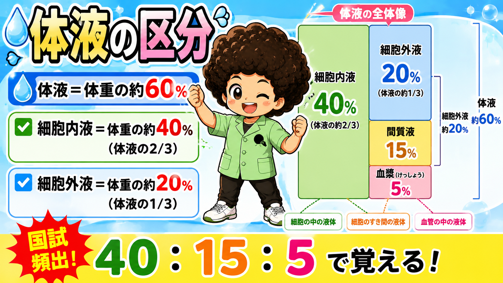 体液の区分｜体液の区分 1