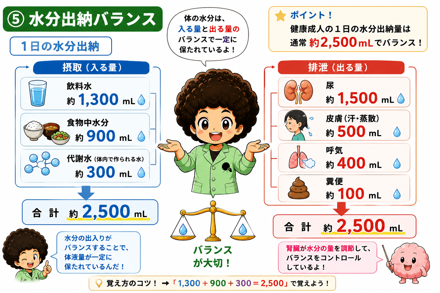 1日の水分出納は摂取・排泄とも約2,500mL