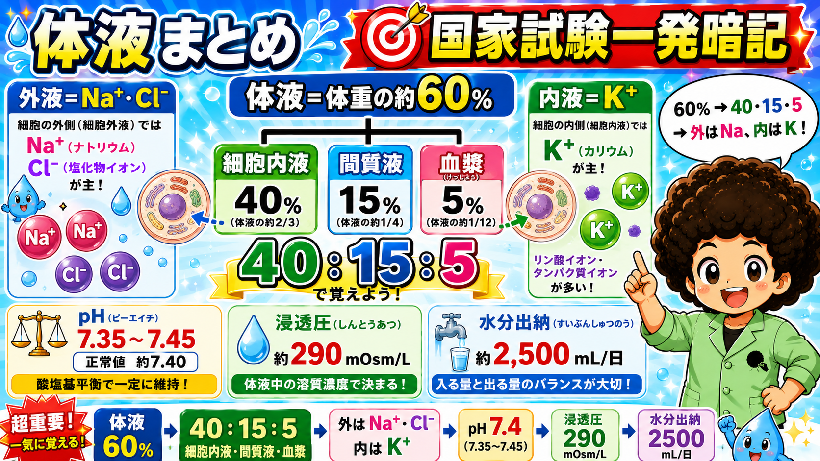 体液の総まとめ：60％→40:15:5→外Na内K→pH7.4→290→2500