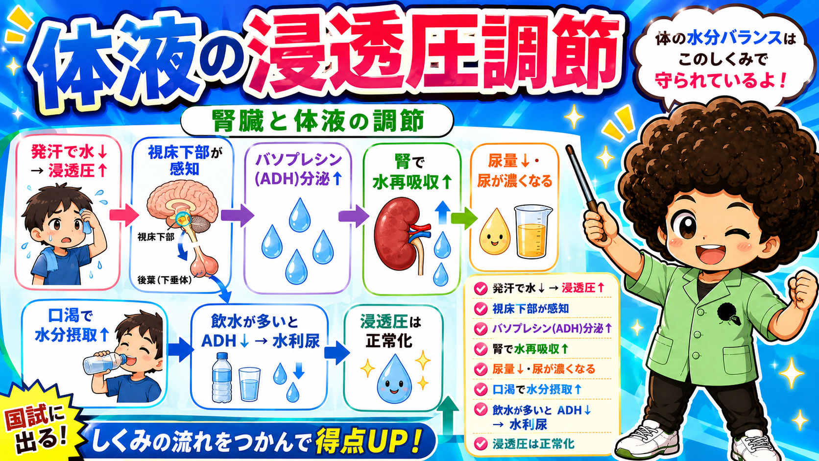 体液の浸透圧調節｜体液の浸透圧調節 1