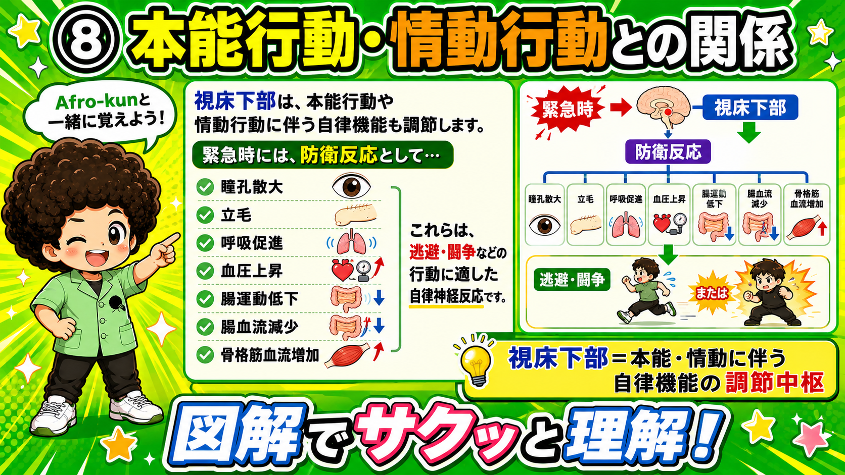 緊急時の防衛反応＝交感神経系の反応